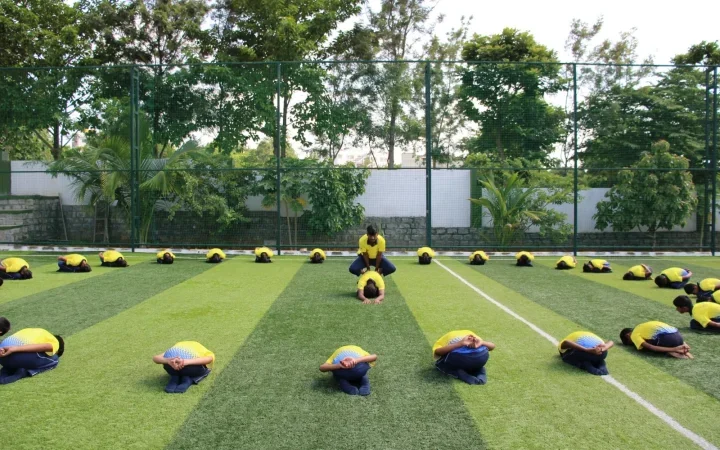 WhatsApp-Image-2024-11-29-at-5.36.15-PM-qxrqm2deu5xlqxkrygbqcdl7vdmnz6oi9qcf6qtv9w